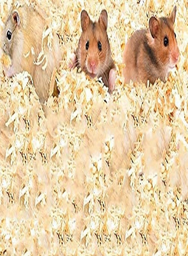Malowal Natural Soft Wood Shaving Bedding Cum Nesting Material for All Birds 1 Kg, Gold - Image 4